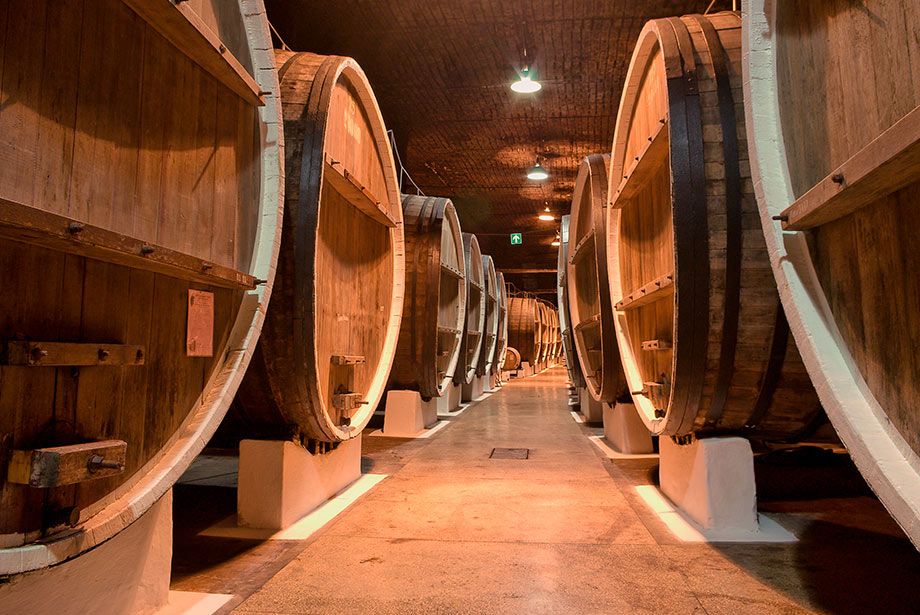 Enoturismo en la provincia de Valladolid